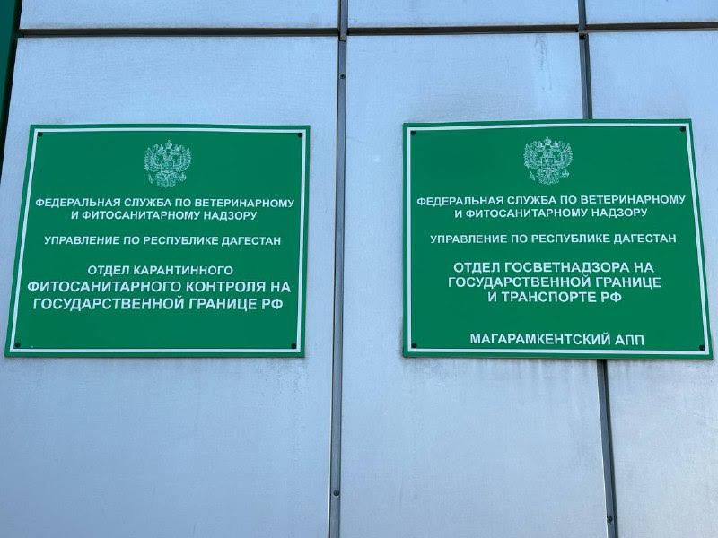 Россельхознадзор ввоз. Россельхознадзор Дагестан. Россельхознадзор Дагестан внешний карантин отдел
