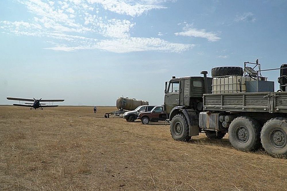 В Дагестане саранча заселила более 65 тысяч га земель
