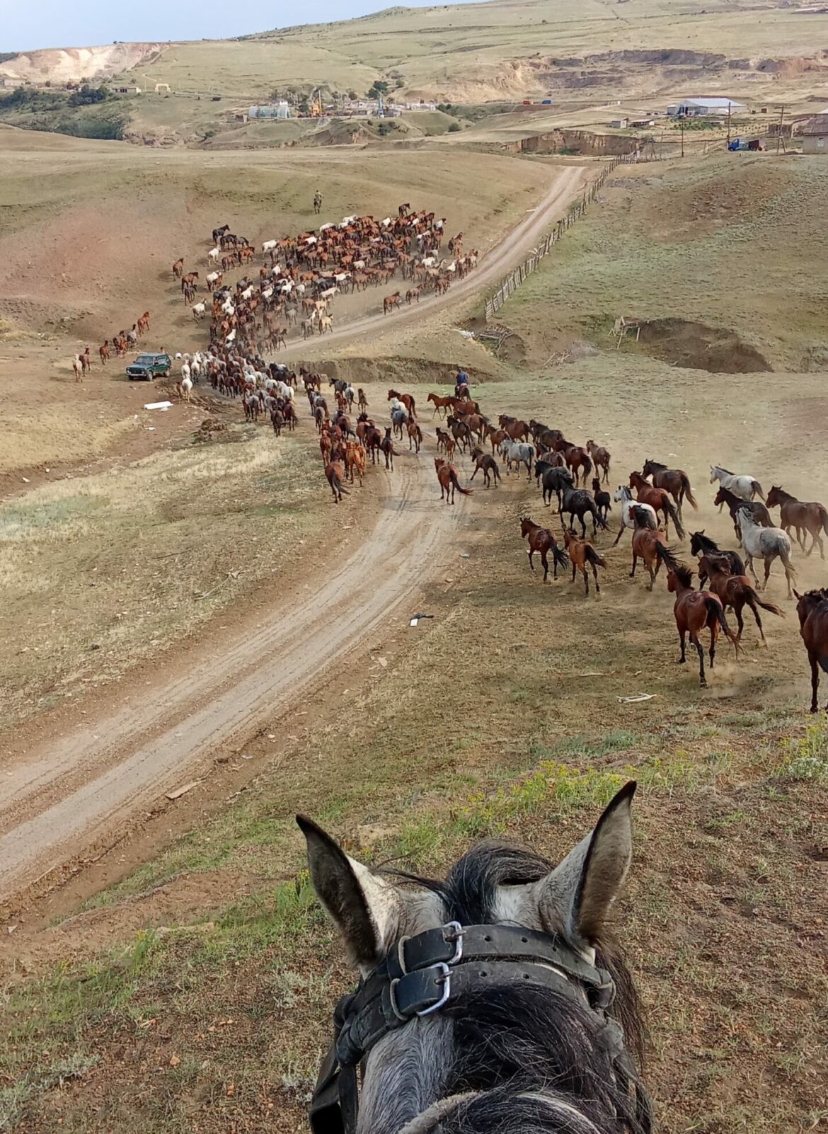 WhatsApp Image 2025-06-10 at 16.36.17