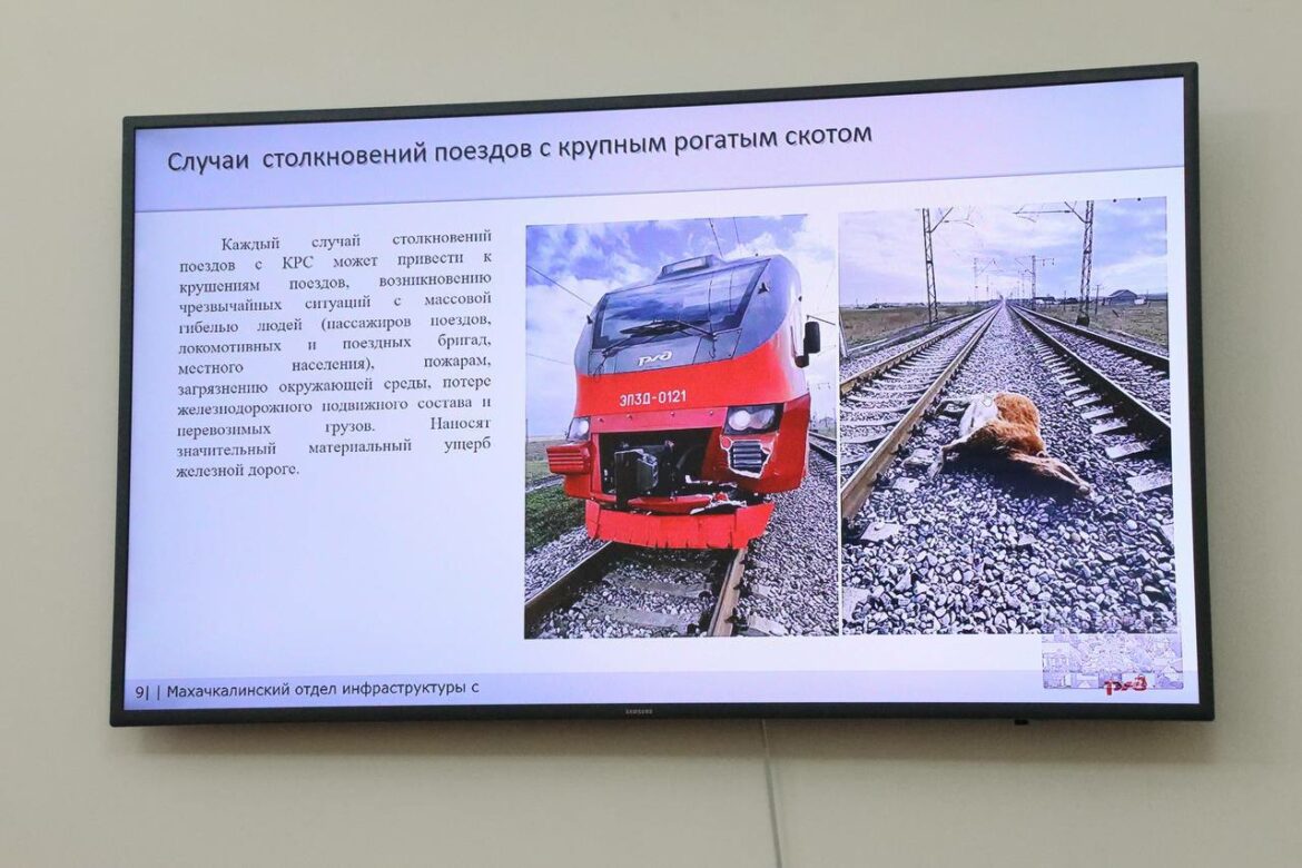 photo_2025-06-10_13-49-01