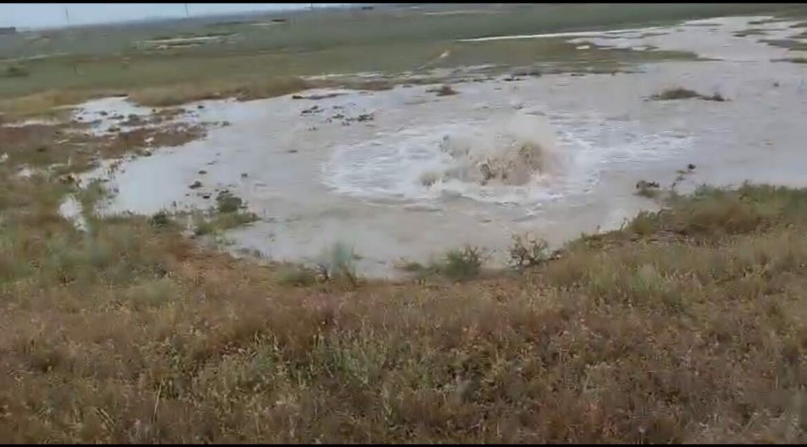 WhatsApp Image 2025-09-12 at 12.46.11