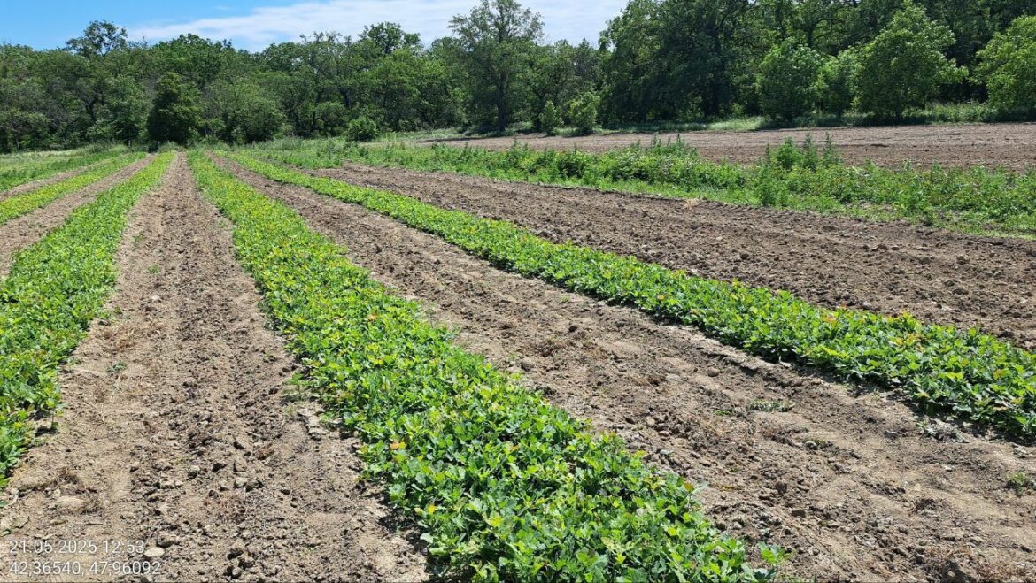 1a6d9628-026a-4d5b-a03c-221029d039cb