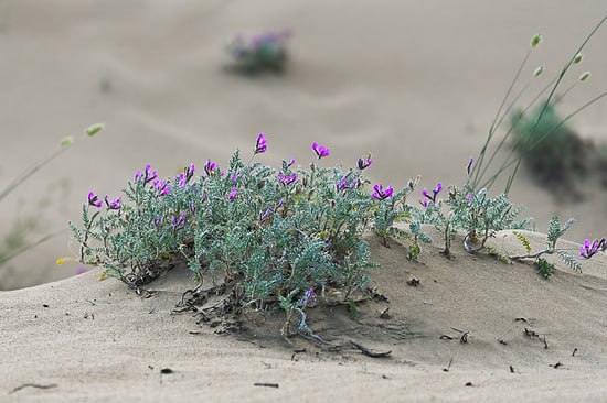 photo_2025-10-29 12.01.39