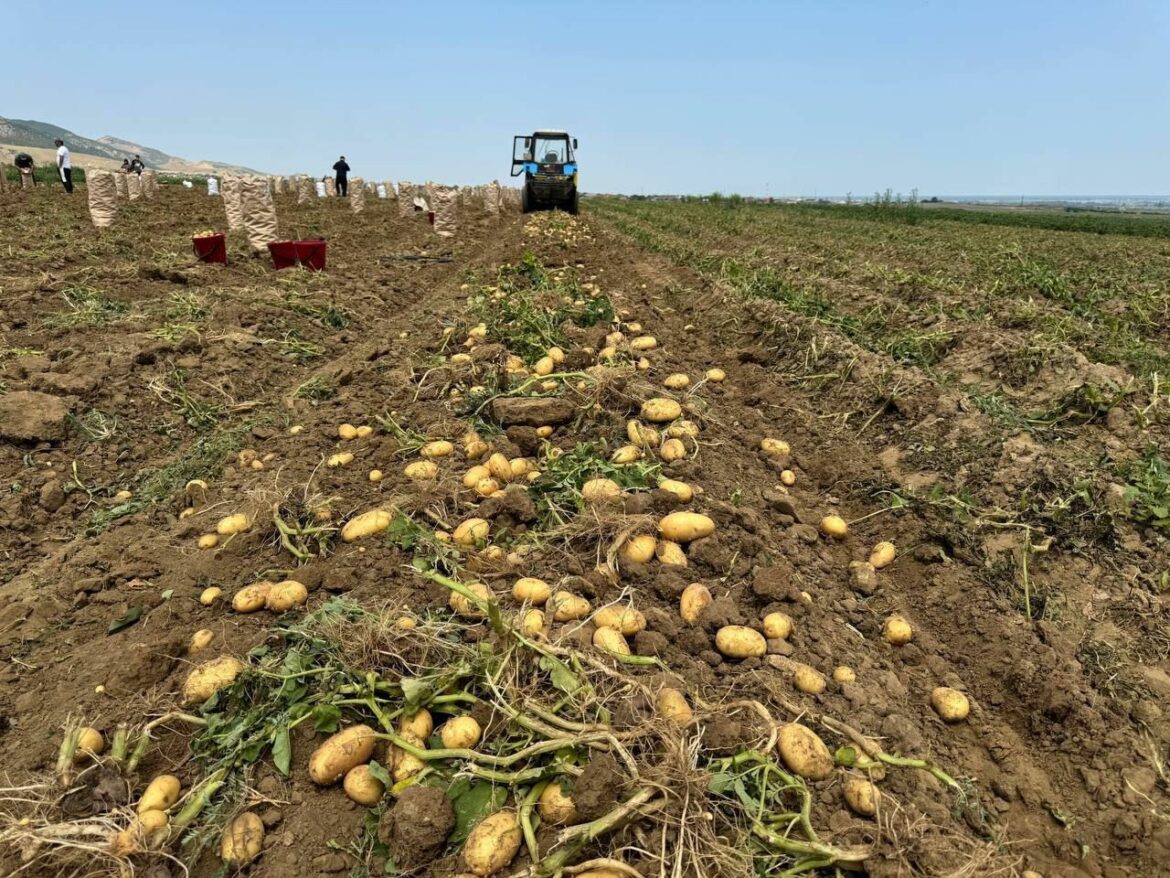 df6463e5-36c4-4e74-8191-b6dd7d0da703