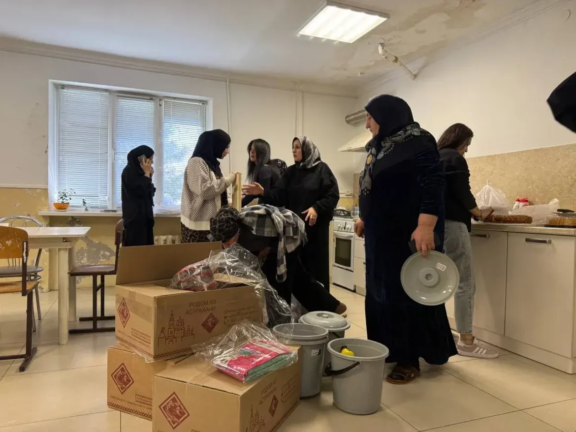 Единороссы