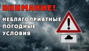 погоды