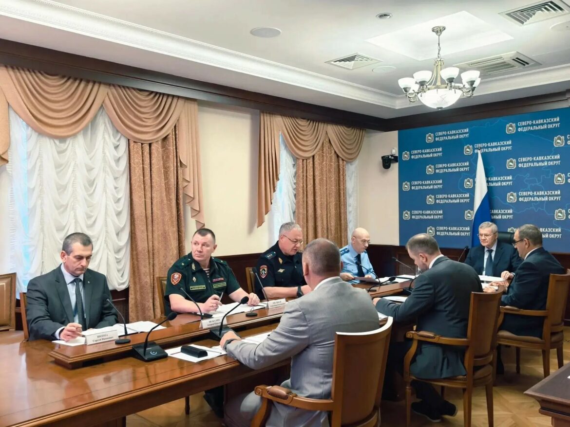Чайка