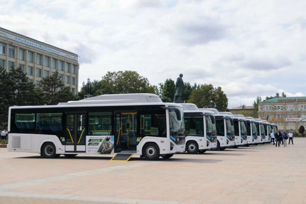 автобусы