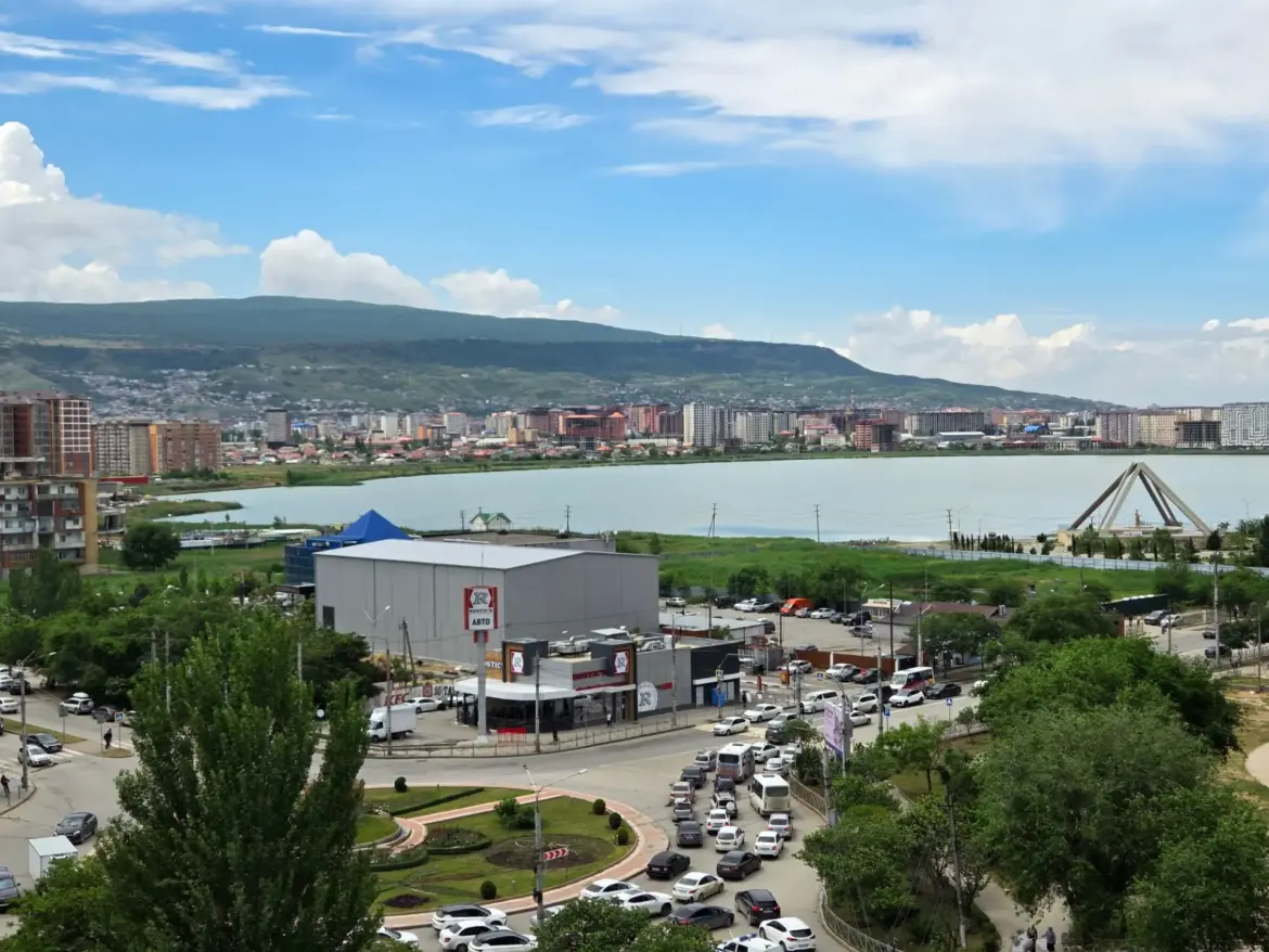 легализовали трудовую деятельность