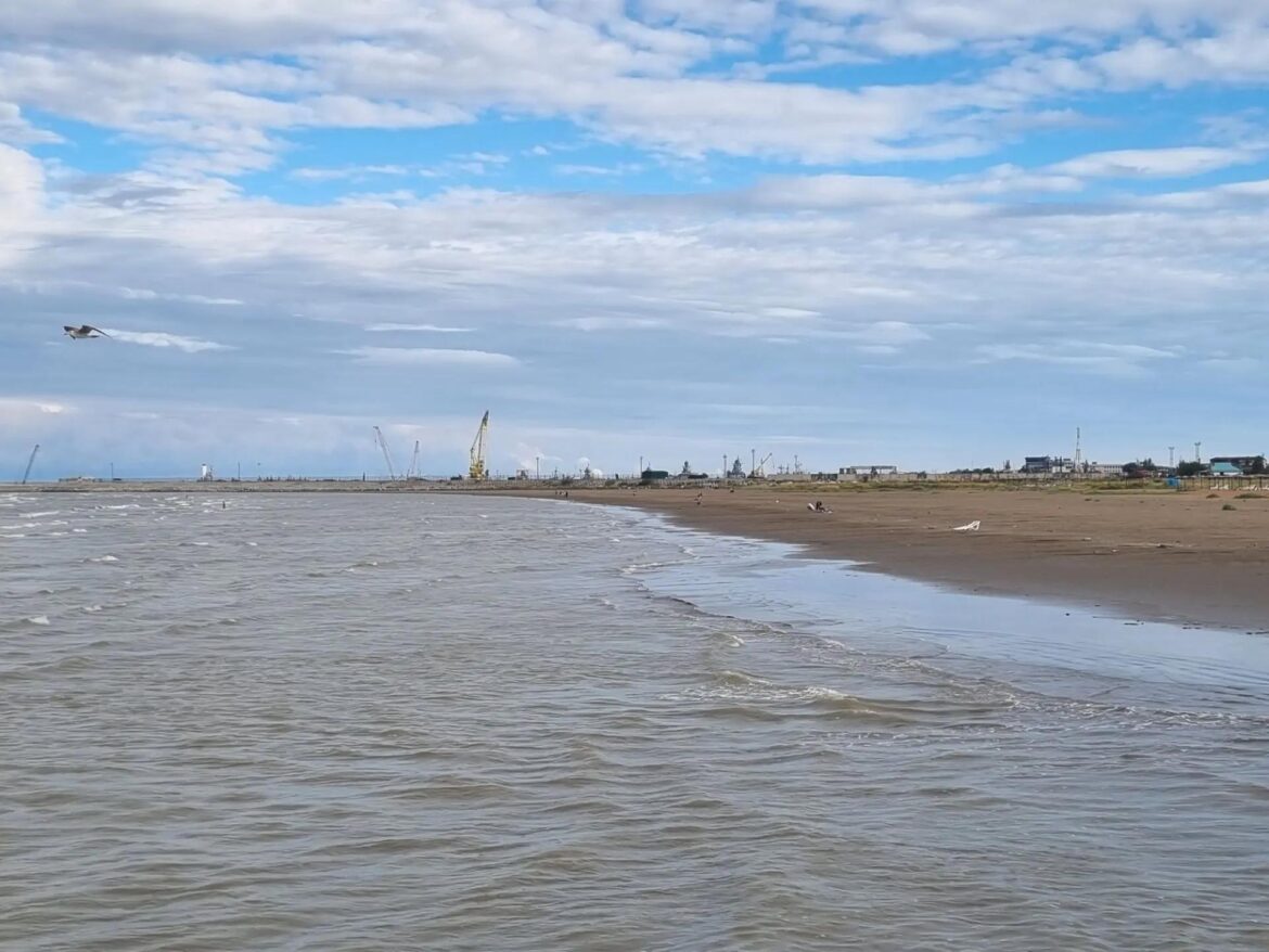 Программу изучения Каспийского моря разрабатывают в России